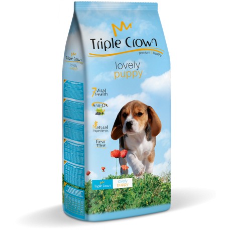 TRIPLE CROWN LOVELY PUPPY
