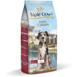 TRIPLE CROWN LOVELY BIG PUPPY