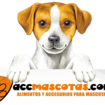 El blog de Mascotas. Alimentación y accesorios para mascotas