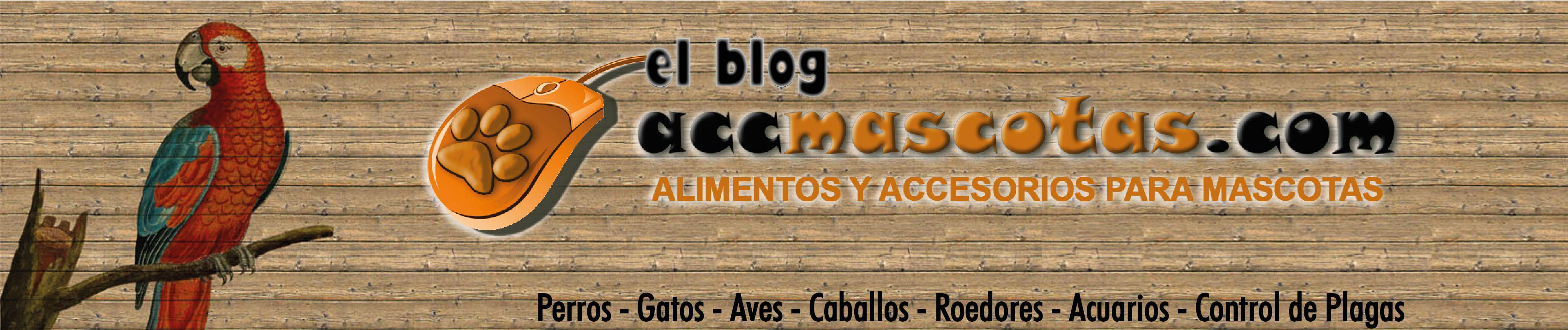 AccMascotas El Blog
