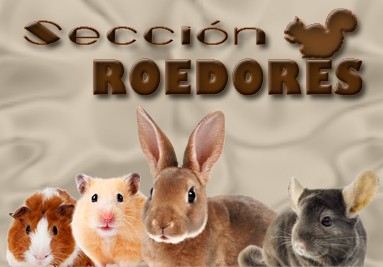 Sección roedores